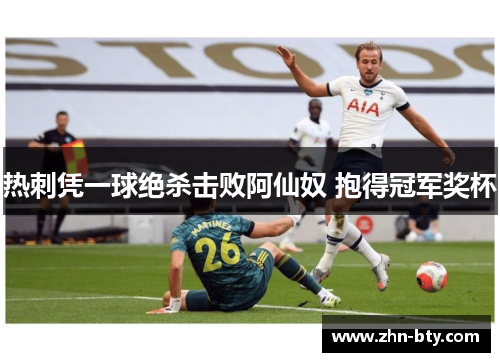 热刺凭一球绝杀击败阿仙奴 抱得冠军奖杯