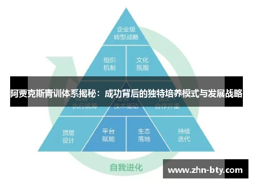 阿贾克斯青训体系揭秘：成功背后的独特培养模式与发展战略