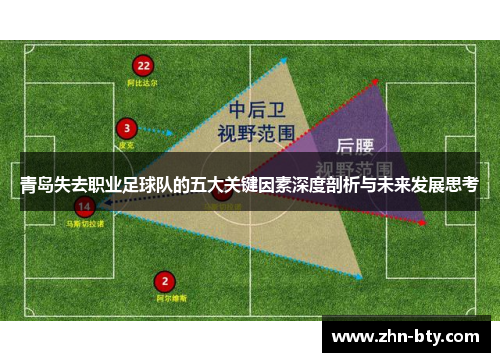 青岛失去职业足球队的五大关键因素深度剖析与未来发展思考