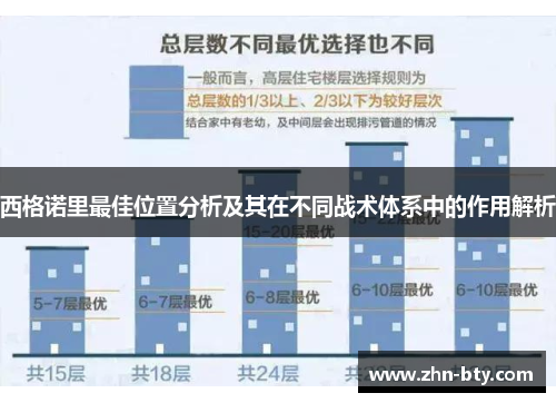西格诺里最佳位置分析及其在不同战术体系中的作用解析