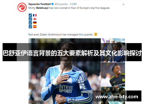 巴舒亚伊语言背景的五大要素解析及其文化影响探讨