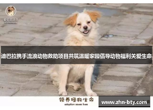 迪巴拉携手流浪动物救助项目共筑温暖家园倡导动物福利关爱生命