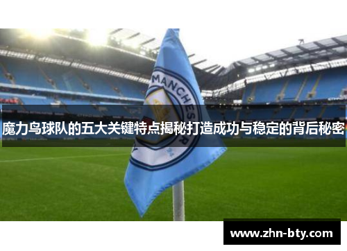 魔力鸟球队的五大关键特点揭秘打造成功与稳定的背后秘密