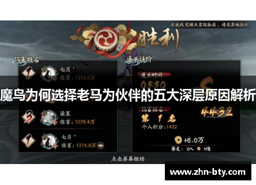 魔鸟为何选择老马为伙伴的五大深层原因解析