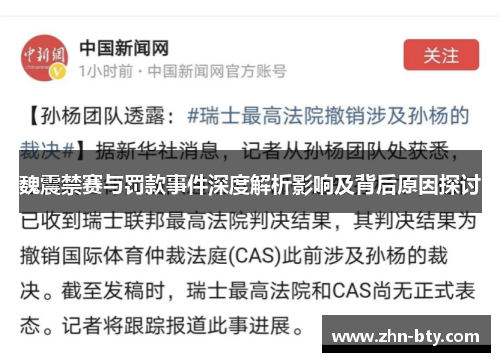 魏震禁赛与罚款事件深度解析影响及背后原因探讨